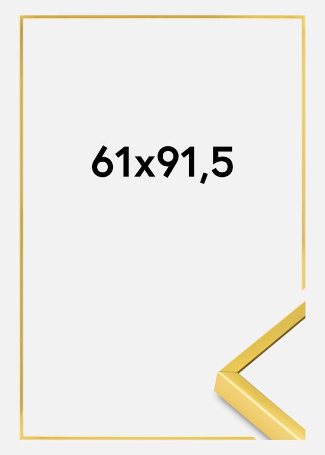 Rama aluminiowa Szkło akrylowe Złoty 61x91,5 cm