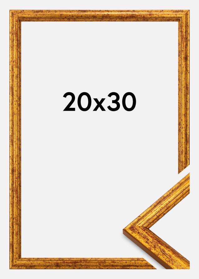 Rama Claudia Akrylglas Złoty 20x30 cm