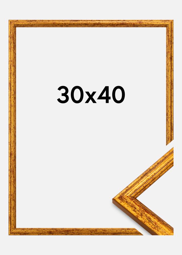 Rama Claudia Akrylglas Złoty 30x40 cm