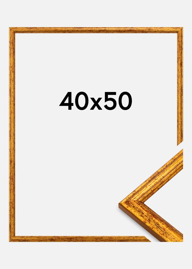 Rama Claudia Akrylglas Goud 40x50 cm