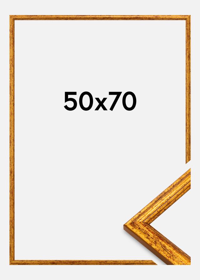 Rama Claudia Akrylglas Złoty 50x70 cm