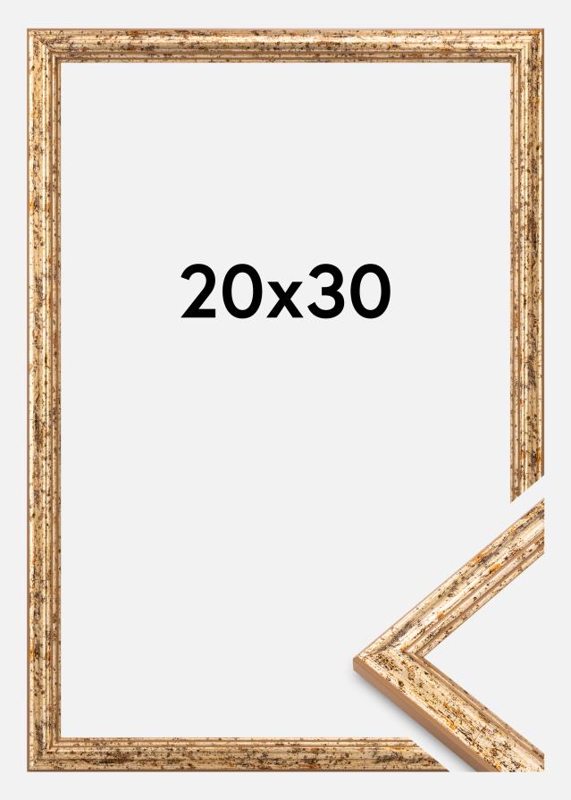 Rama Claudia Akrylglas Srebrny 20x30 cm