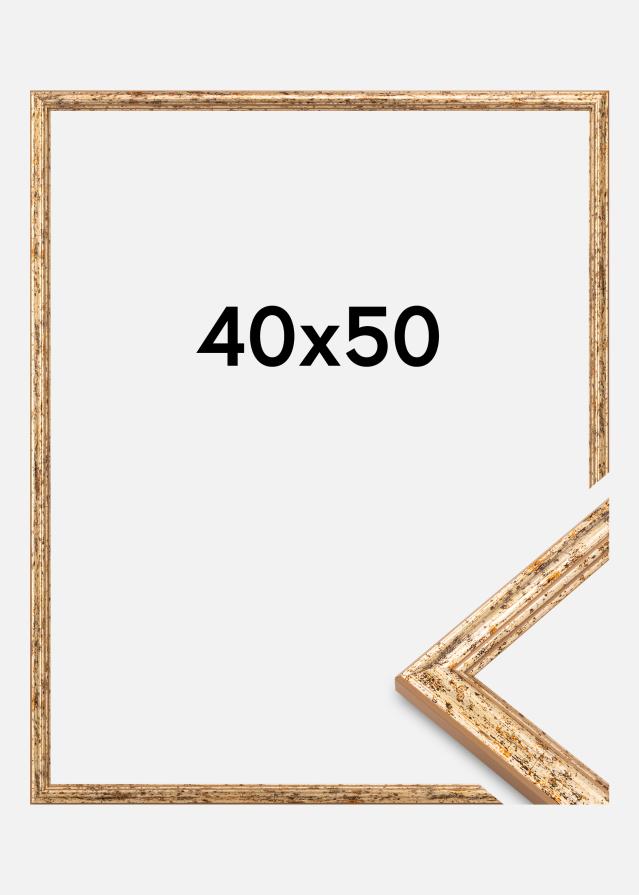 Rama Claudia Akrylglas Srebrny 40x50 cm