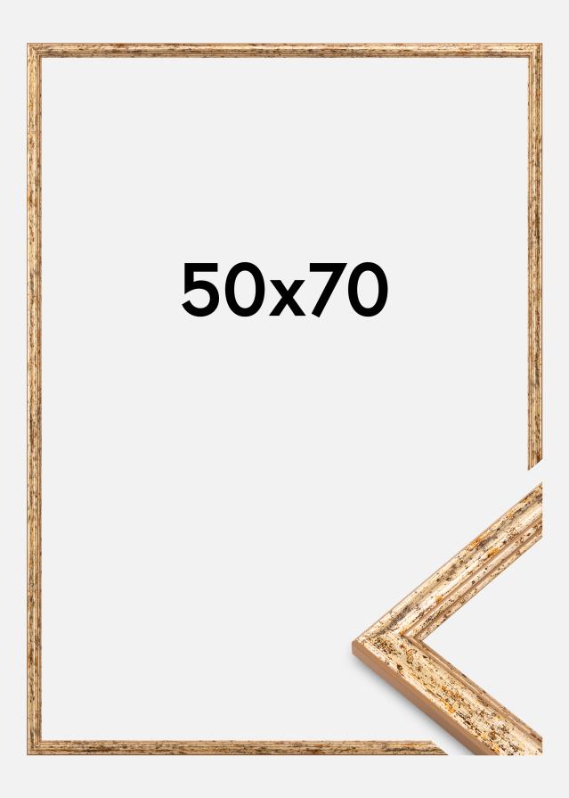 Rama Claudia Akrylglas Srebrny 50x70 cm