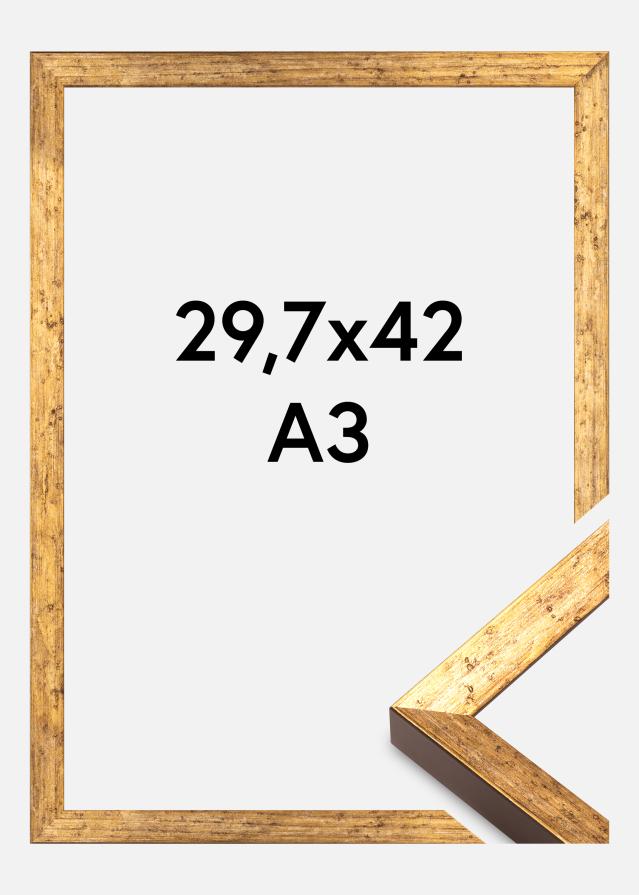 Rama Dune Akrylglas Złoty 29,7x42 cm (A3)