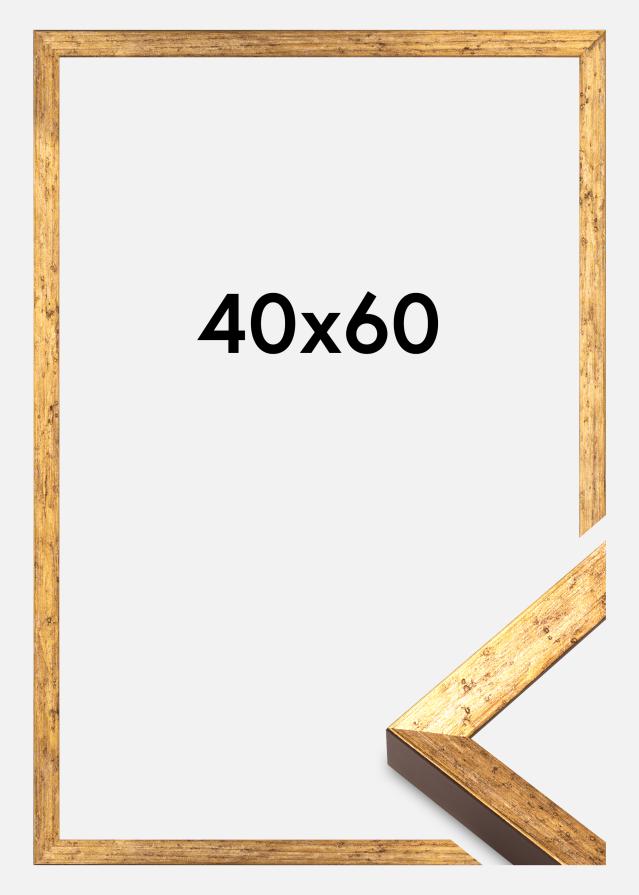 Rama Dune Akrylglas Złoto 40x60 cm