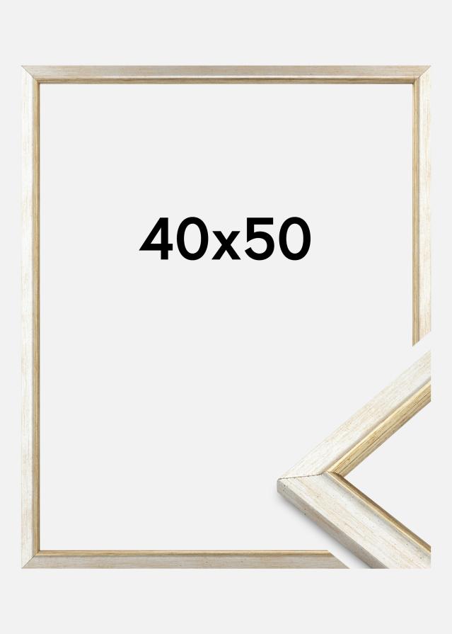 Rama Marisa Akrylglas Srebrna 40x50 cm