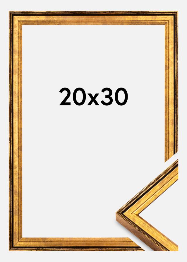 Rama Ringa Szkło akrylowe Złoty 20x30 cm