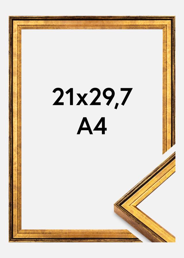 Rama Ringa Akrylglas Guld 21x29,7 cm (A4)