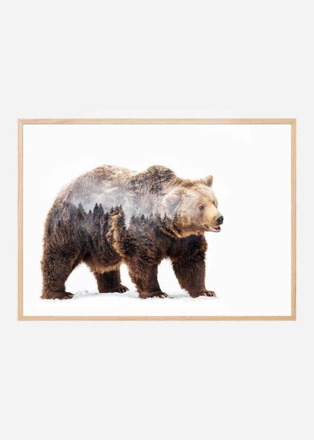 Bear Plakat