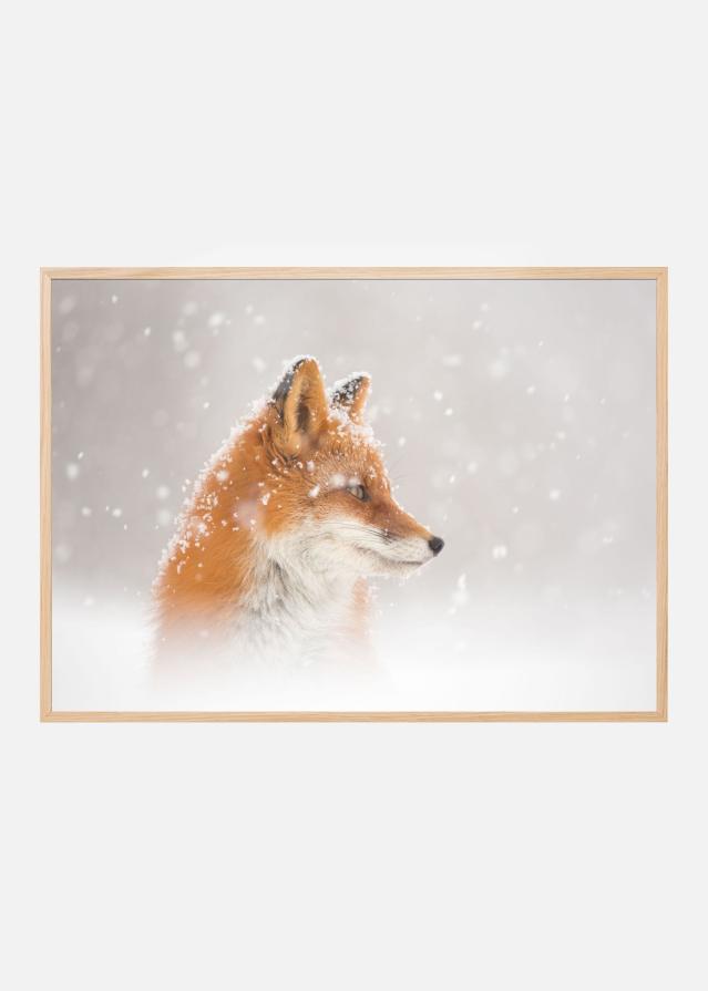 Snow is fallingab Plakat