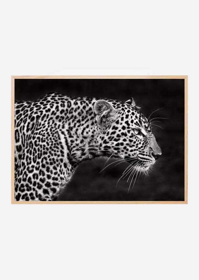 Leopard Close Up Plakat