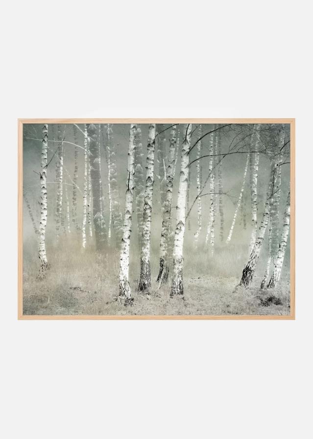 Morning silence Plakat