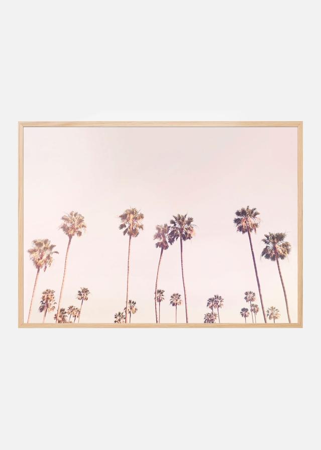 Sunny Cali Palm Trees Plakat