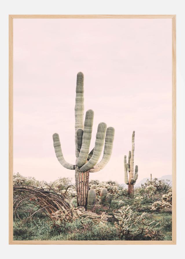 Pink Saguaro Plakat
