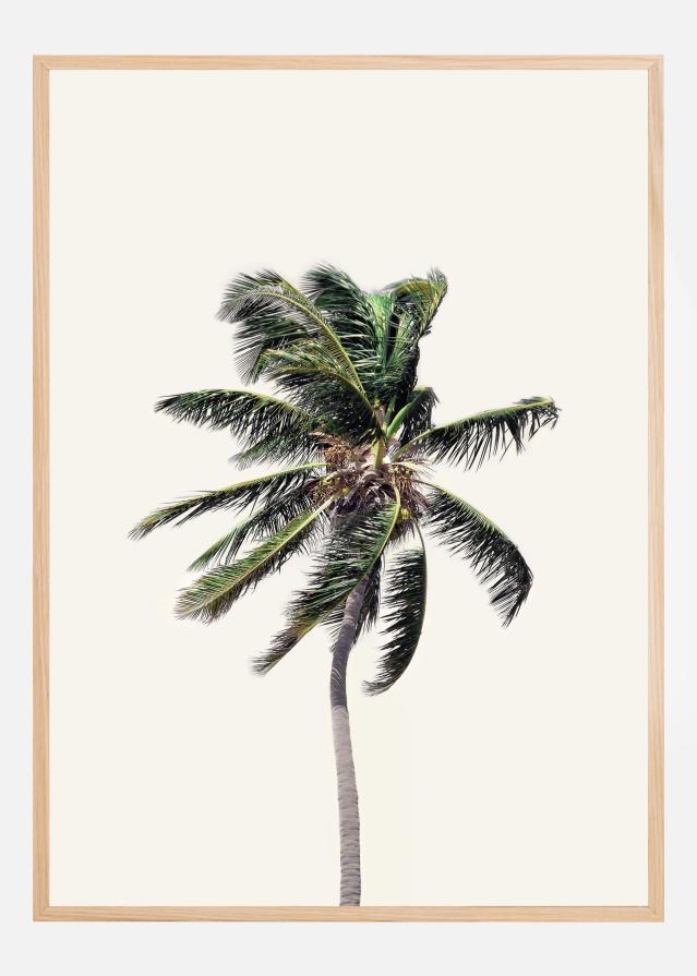 Windy Palm Tree Plakat