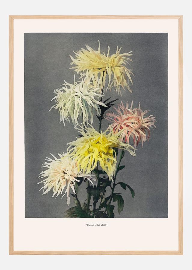 Namiachiadori Plakat