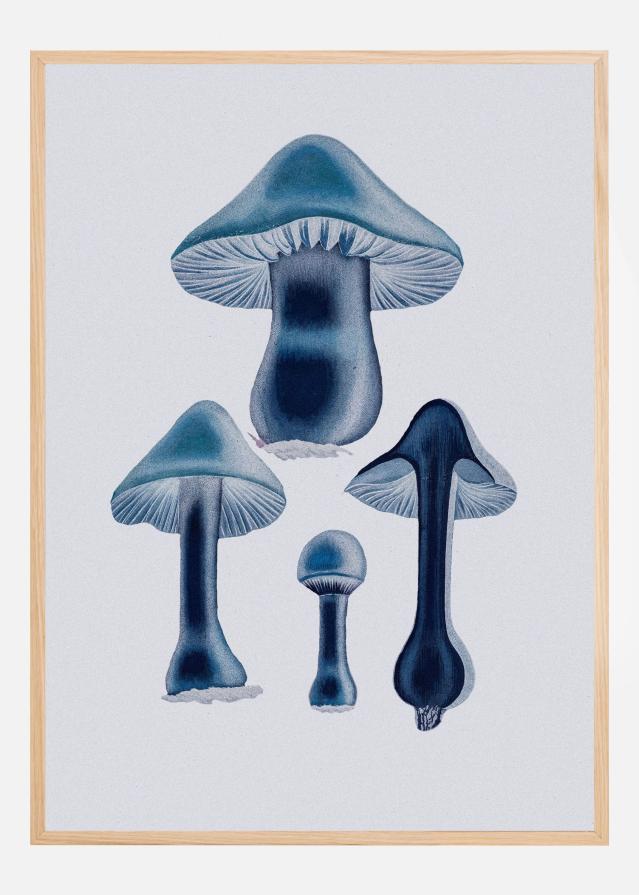 Agaricus Bulbosus - Blue Plakat