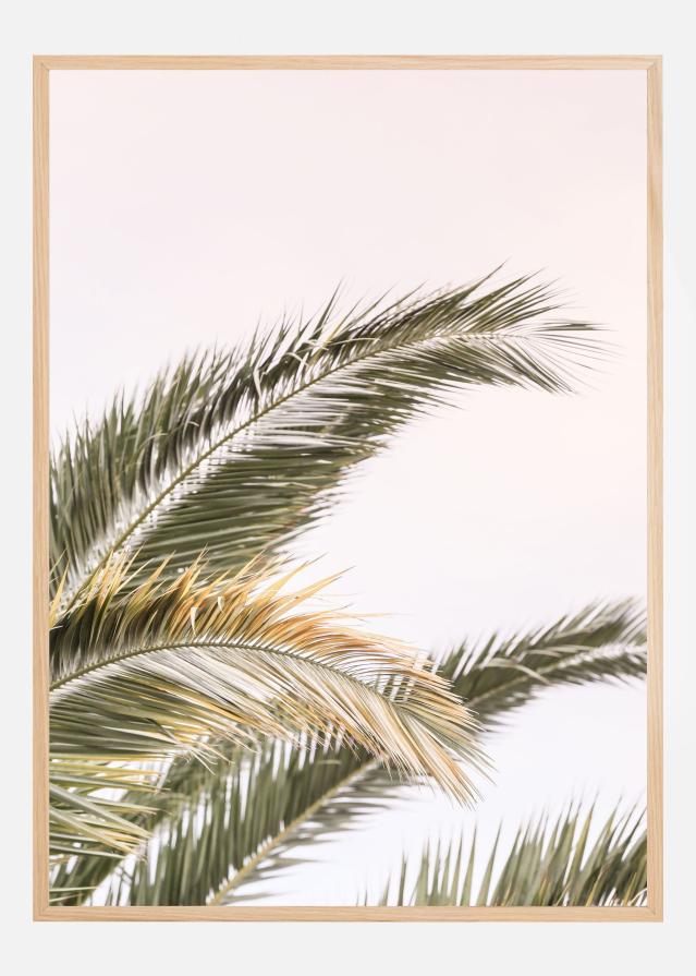 Oasis Palm 03 Plakat