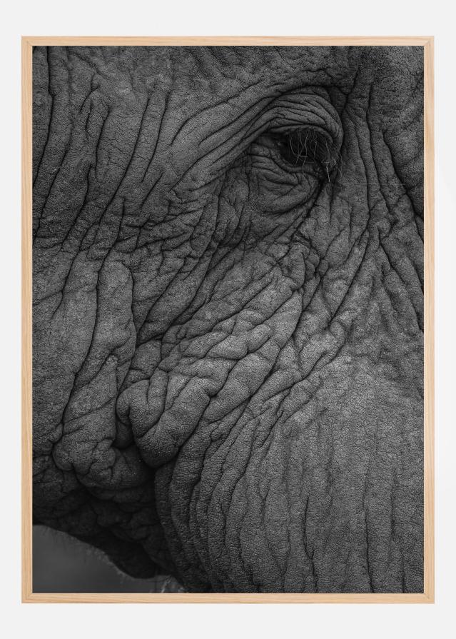 Olifant 01 Plakat