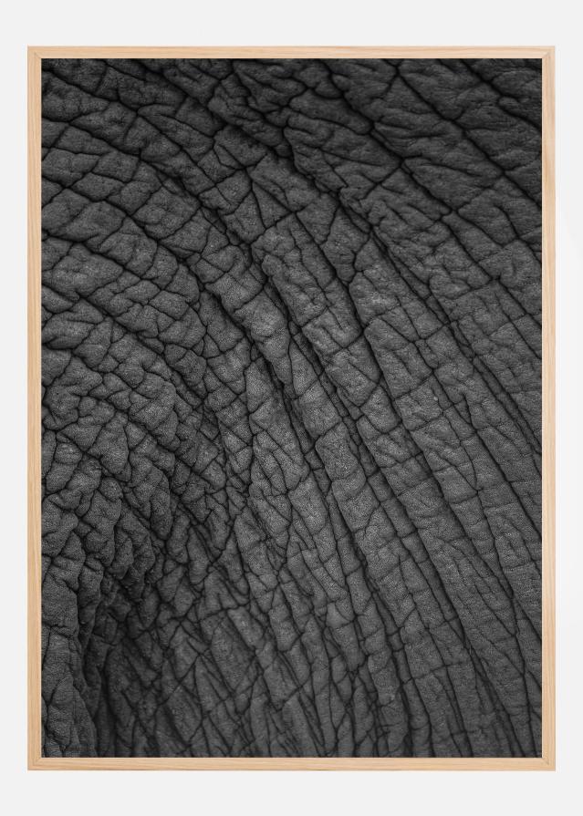 Olifant 03 Plakat
