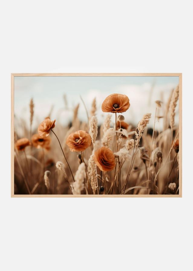 Orange Poppy Field Plakat