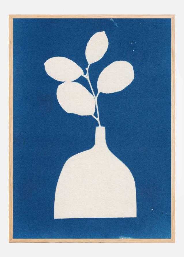 Cyanotype Still Life Studies #2 Plakat
