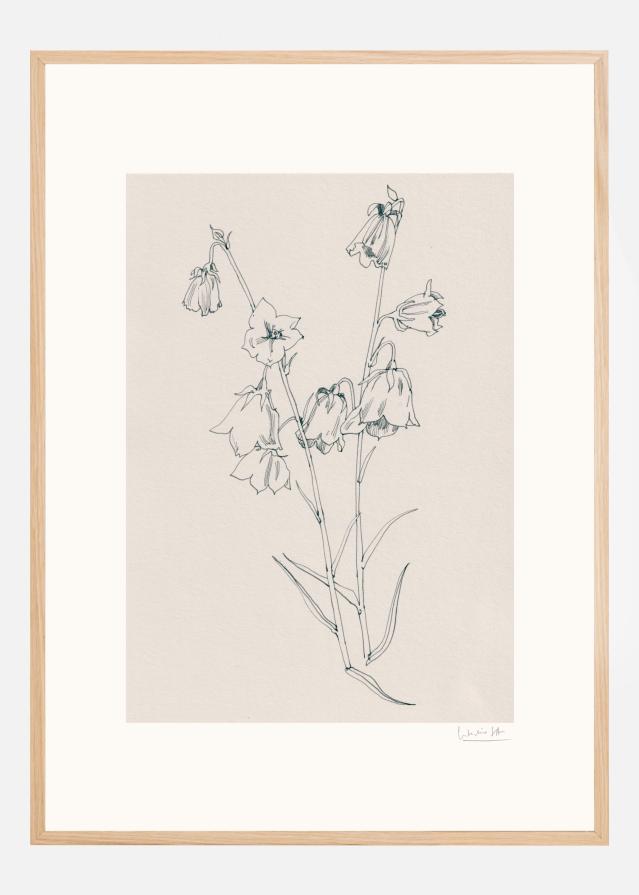 Bellflowers ink drawing Plakat