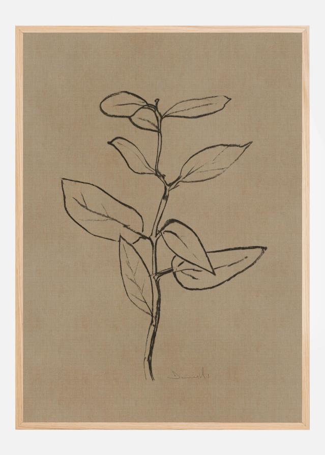 Eucalyptus Sapling Plakat