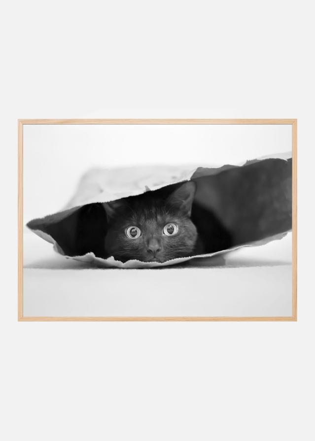 Cat in a bag Plakat