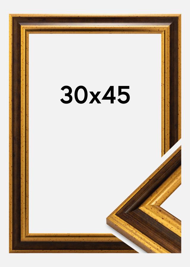 Rama Aberystwyth Szkło akrylowe Złoto 30x45 cm