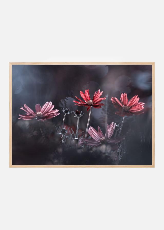 Les fleurs du Bien Plakat