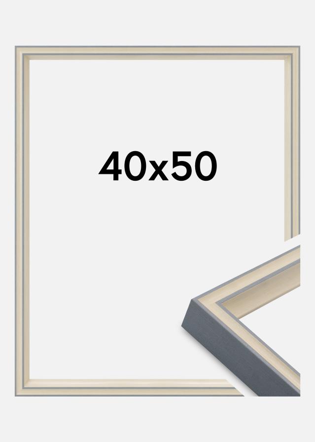 Rama Riga Szkło akrylowe Szara 40x50 cm
