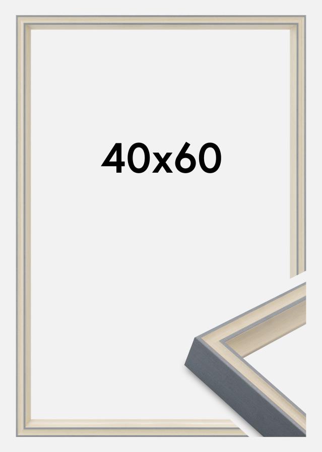 Rama Riga Szkło akrylowe Szara 40x60 cm