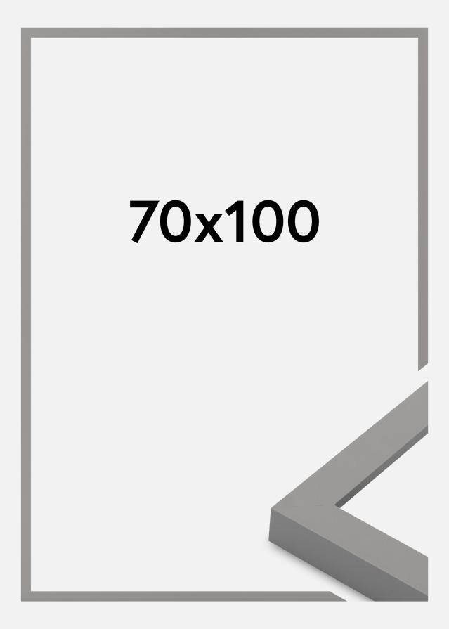 Rama Selection Szkło akrylowe Grey 70x100 cm