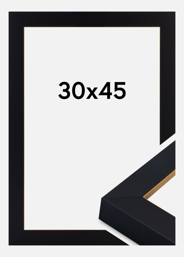 Rama Sussex Szkło akrylowe Czarny/Złoty 30x45 cm