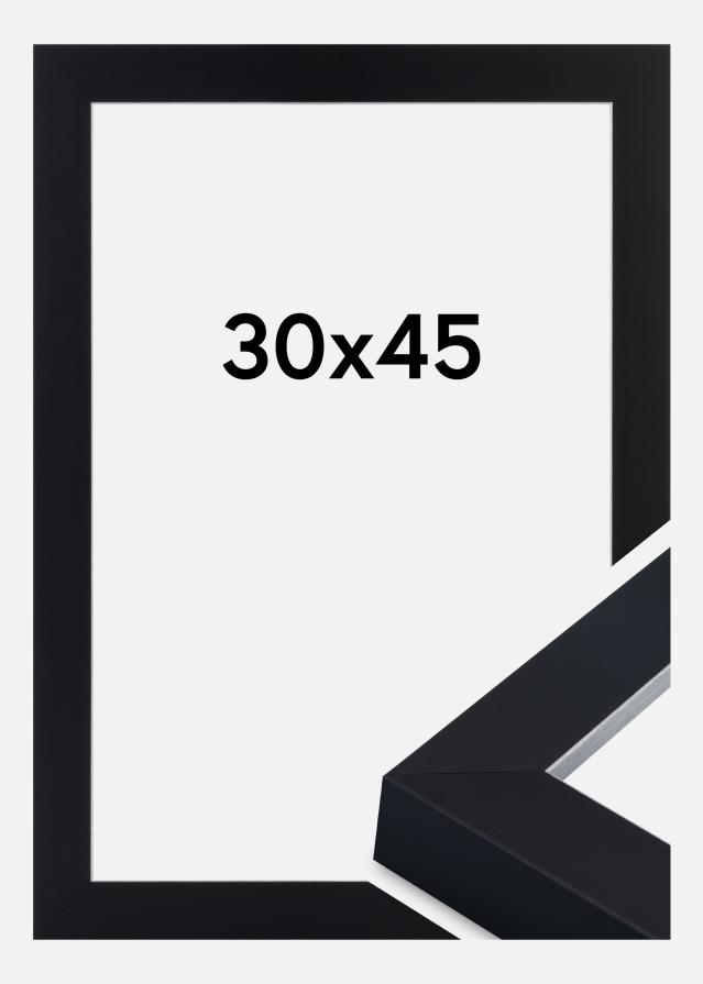 Rama Sussex Szkło akrylowe Czarny/Srebrny 30x45 cm