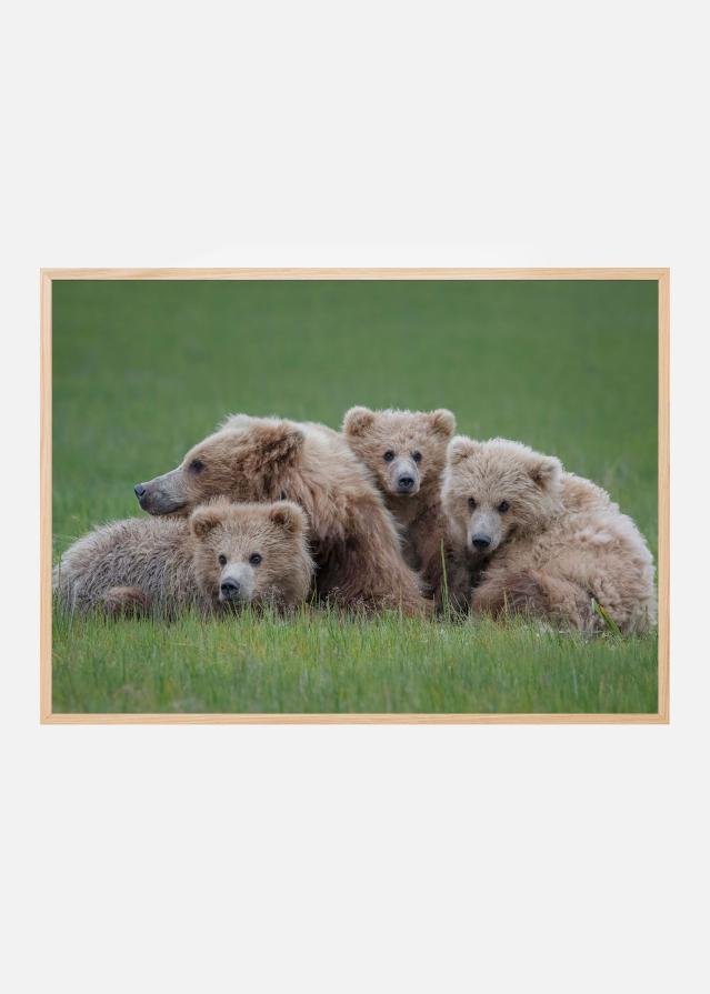 Bear Huddle Plakat
