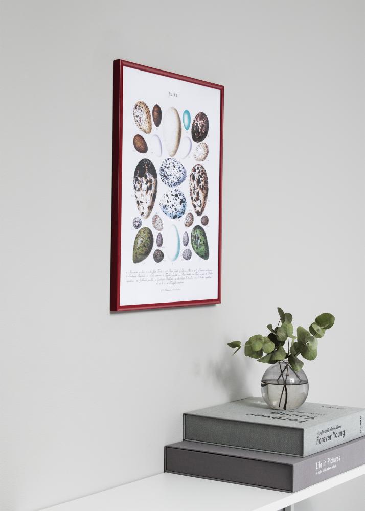 Ramka New Lifestyle czerwony 70x100 cm - Passe-partout Biały 50x85 cm