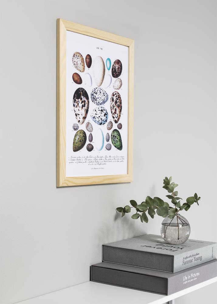 Ramka Trendline Natura 40x40 cm - Passe-partout Biały 10x10 cali