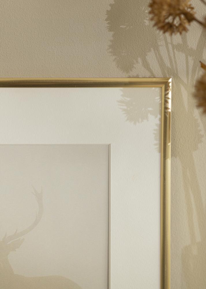 Ramka New Lifestyle Złoto 60x90 cm - Passe-partout Biała 50x75 cm