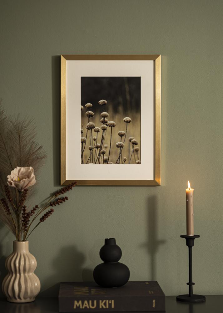 Rama Selection Szkło akrylowe Złoto 20x24 inches (50,8x60,96 cm)