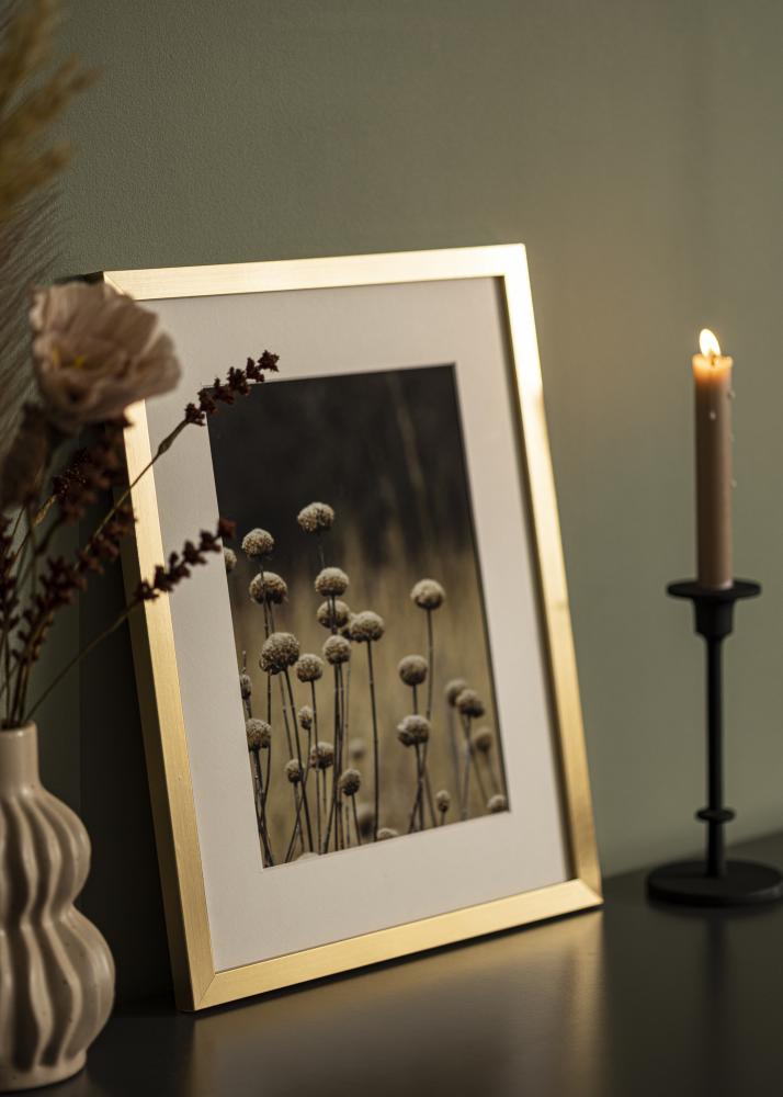 Rama Selection Szkło akrylowe Złoto 20x24 inches (50,8x60,96 cm)