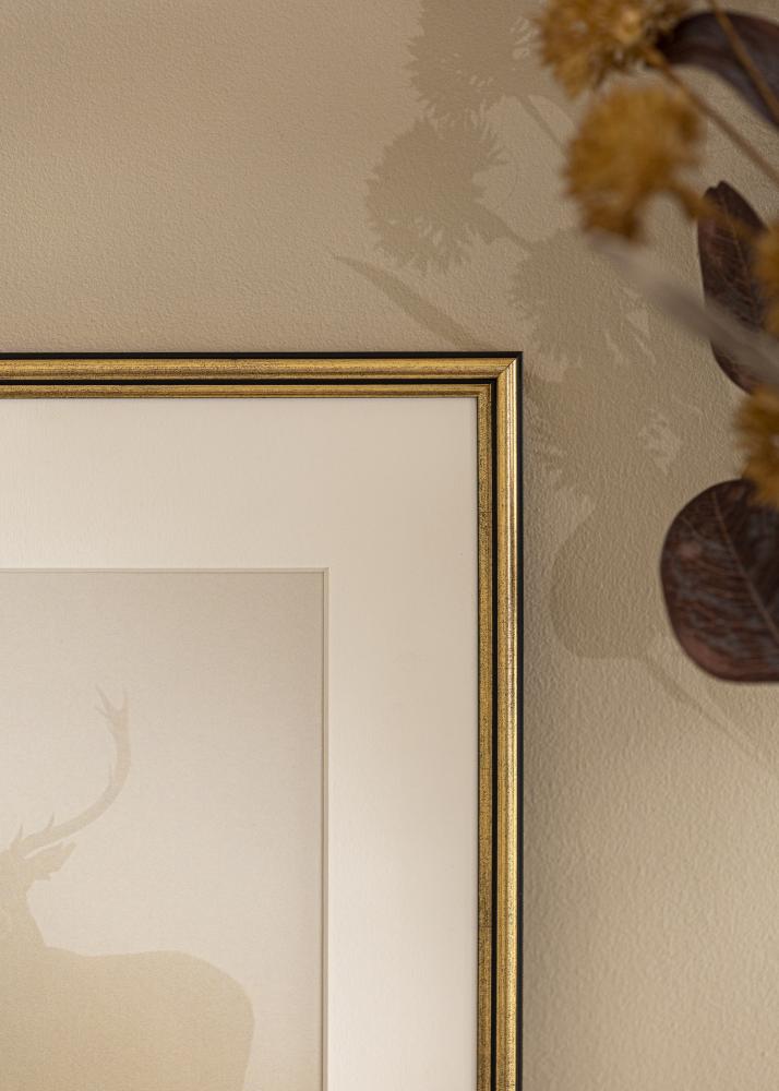 Rama Horndal Szkło akrylowe Złoty 7x10 cm