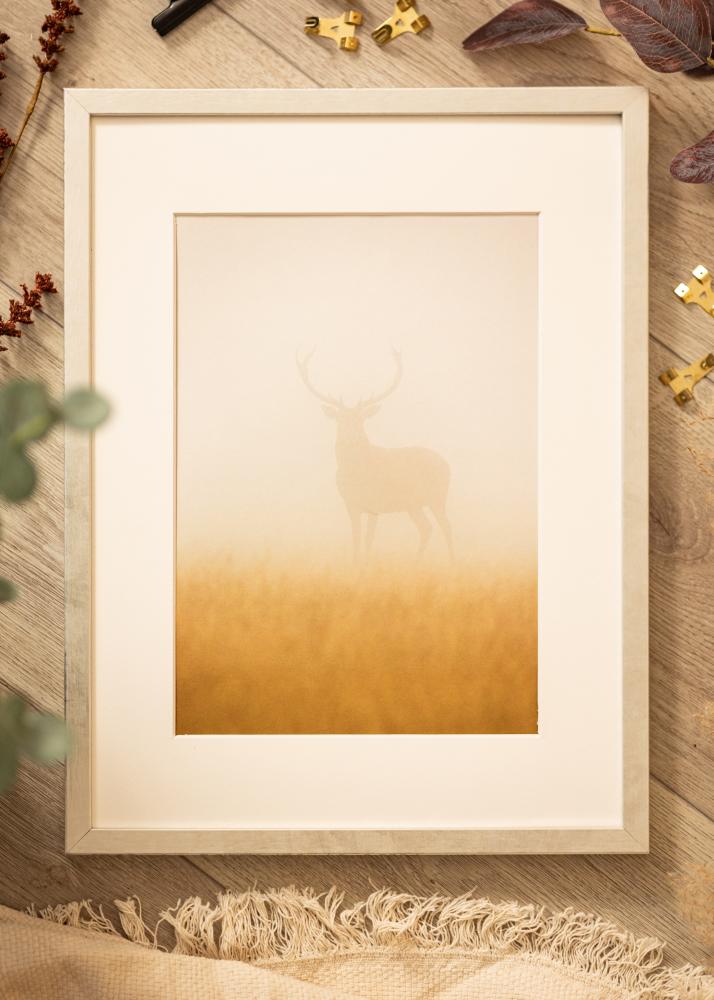 Ramka Ares Srebrny 24x30 cm - Passe-partout Biały 7x9 cali