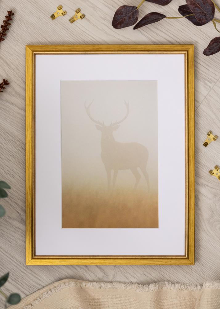 Rama Marisa Akrylglass Złoto 40x50 cm