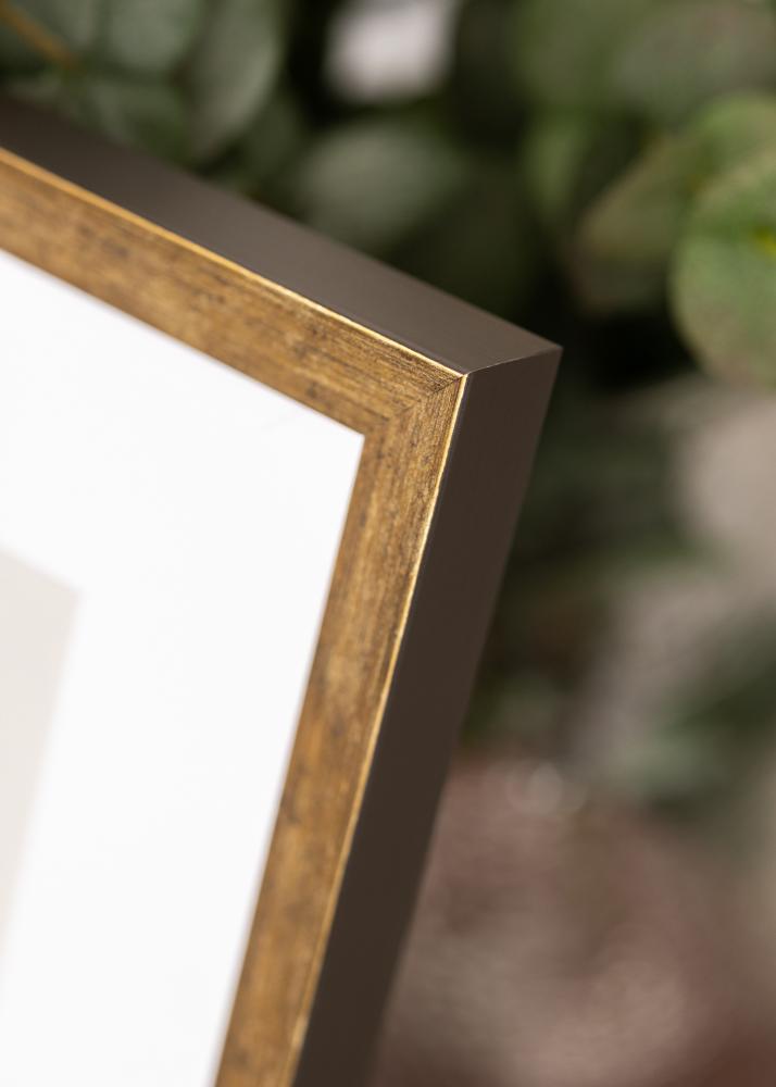 Rama Dune Akrylglas Złoto 40x50 cm