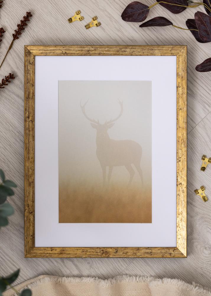 Rama Dune Akrylglas Złoto 40x50 cm