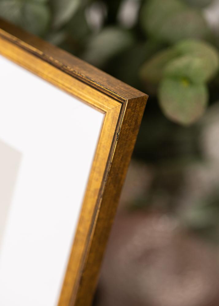 Rama Ringa Szkło akrylowe Złoty 30x40 cm