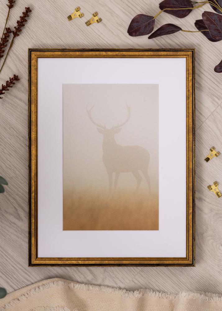 Rama Ringa Szkło akrylowe Złoty 30x40 cm